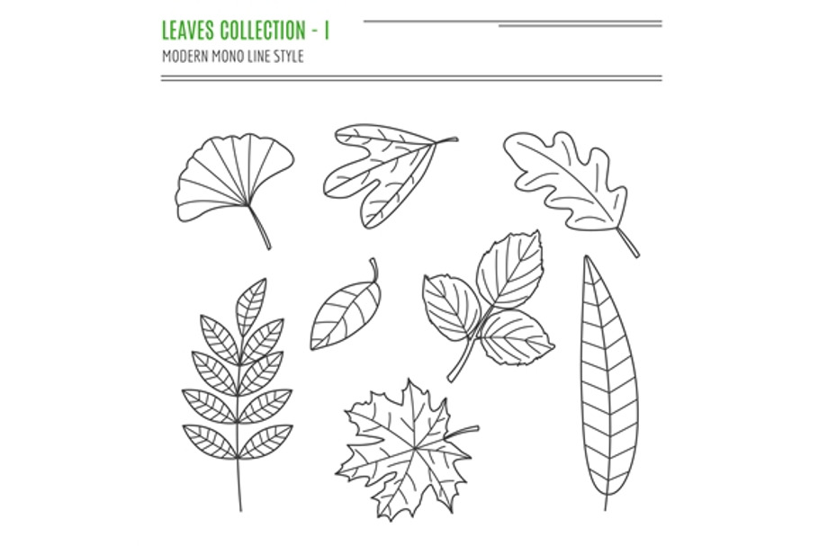 Set of 19 thin line leaves in Objects - product preview 8