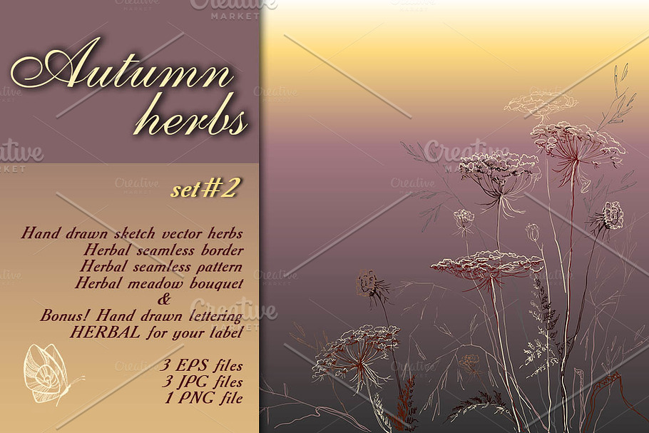 Autumn herbs sketch set #2 in Graphics - product preview 8