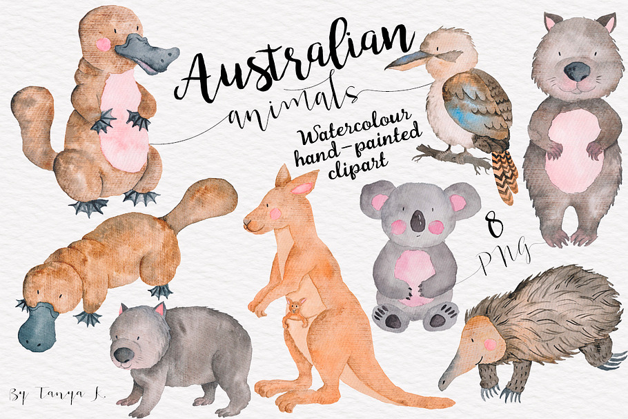 Australian Animals Watercolor Set