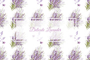 №157 Delicate Lavender
