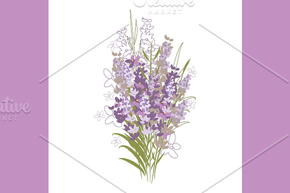 №157 Delicate Lavender in Illustrations - product preview 1