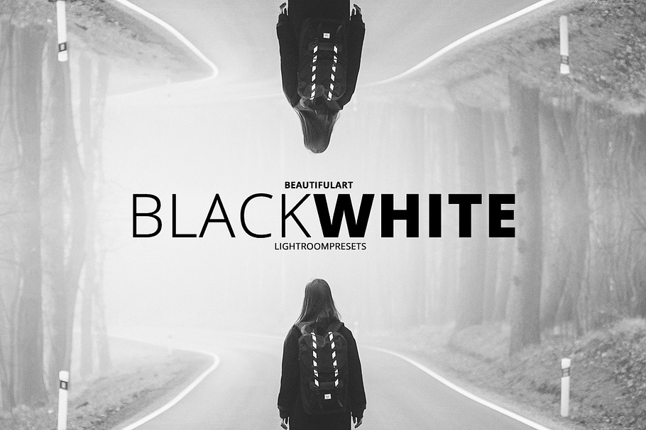 Pro BLACKWHITE Lightroom Presets in Photoshop Plugins - product preview 8