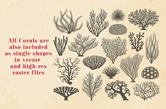 Vector Coral Texture and Silhouettes in Textures - product preview 1