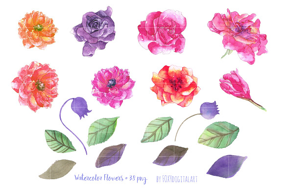 Watercolor Flowers Clipart Roses  in Illustrations - product preview 2