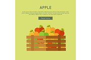 Apple Vector Web Banner