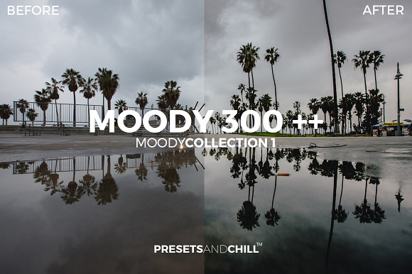MOODY COLLECTION 1 - Adobe Lightroom in Photoshop Plugins - product preview 2