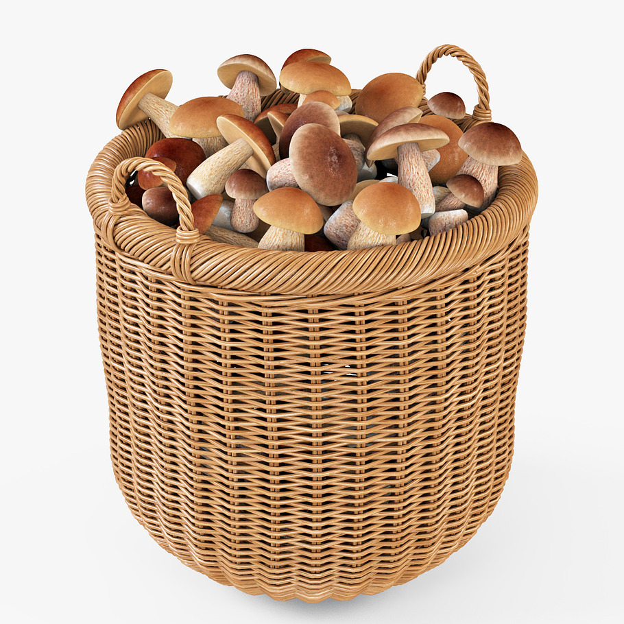 Mushrooms Basket 07 Toasted Oat in Food - product preview 7