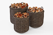 Mushrooms Basket 07 Walnut Brown
