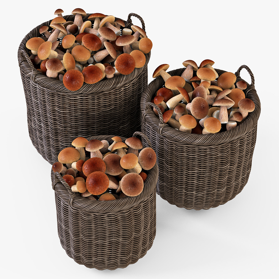 Mushrooms Basket 07 Walnut Brown in Food - product preview 1