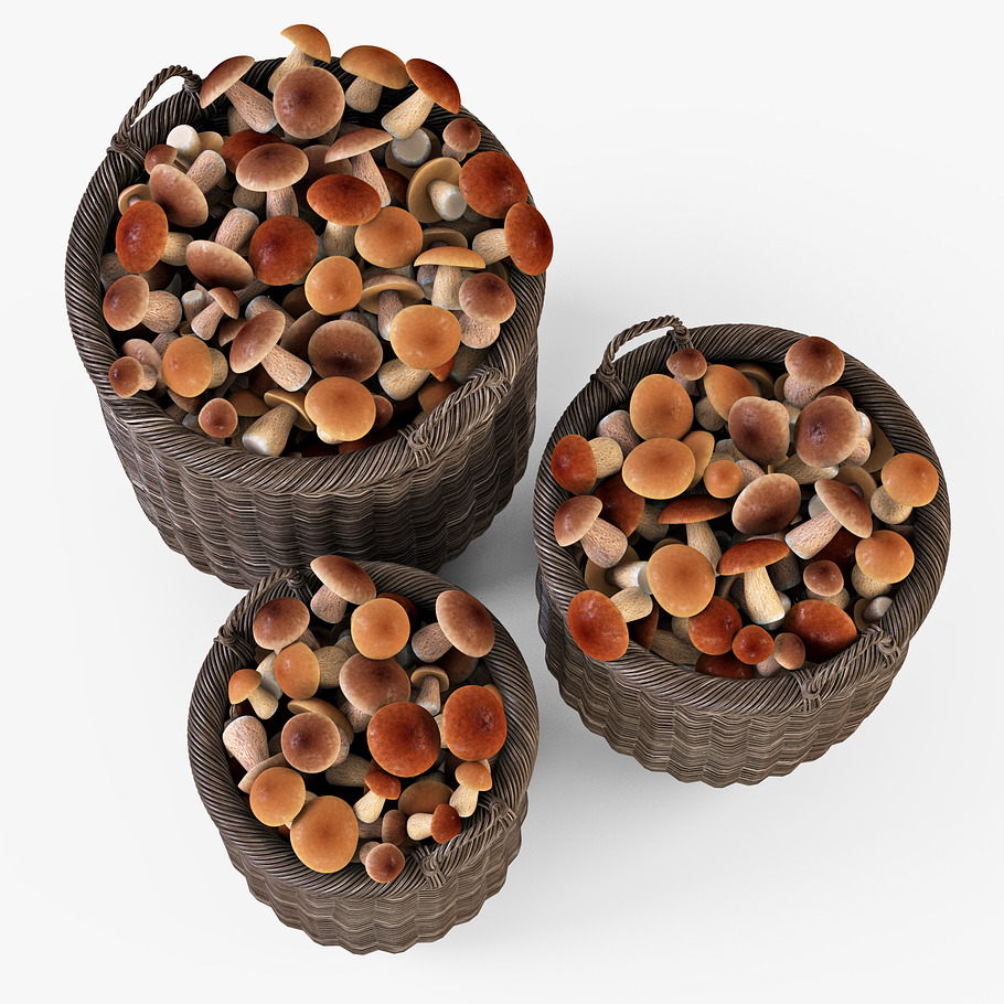 Mushrooms Basket 07 Walnut Brown in Food - product preview 2