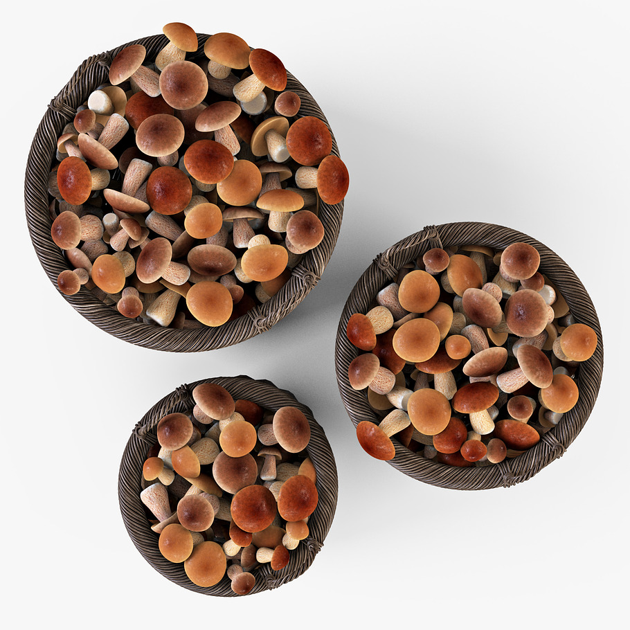 Mushrooms Basket 07 Walnut Brown in Food - product preview 3