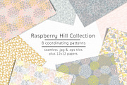Raspberry Hill-vector & jpgs
