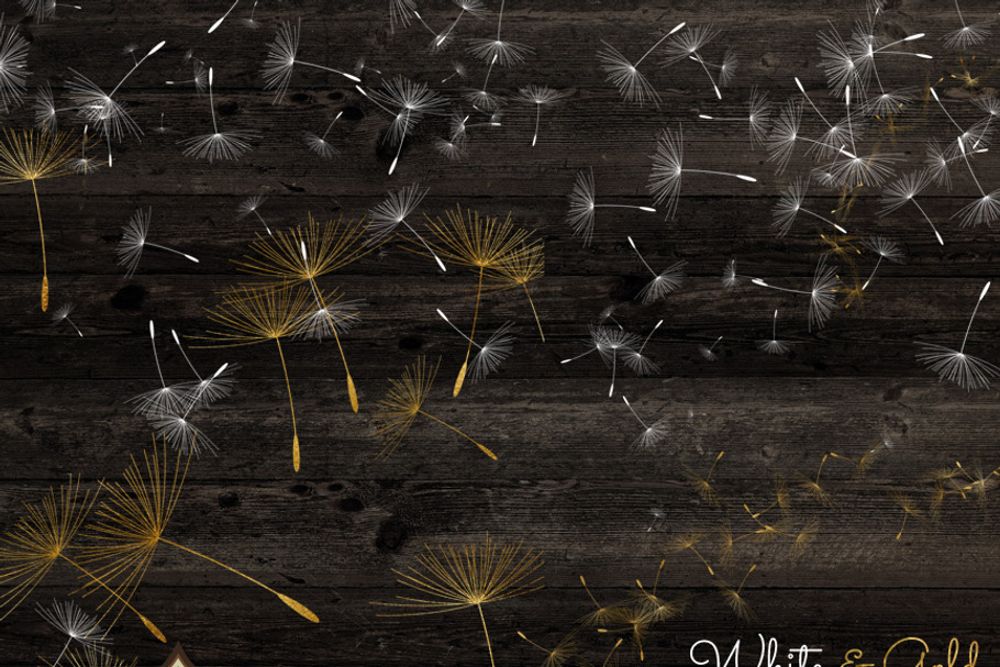 Dandelion Overlays and Brushes