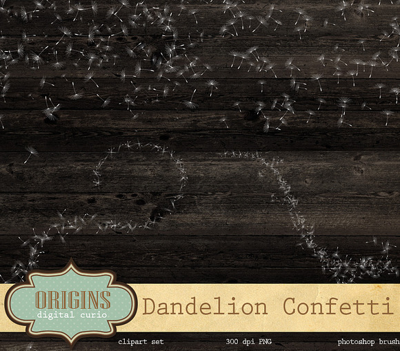 Dandelion Overlays and Brushes in Add-Ons - product preview 1