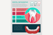 Teeth  Vector Infographic
