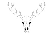 Deer skull. Vector