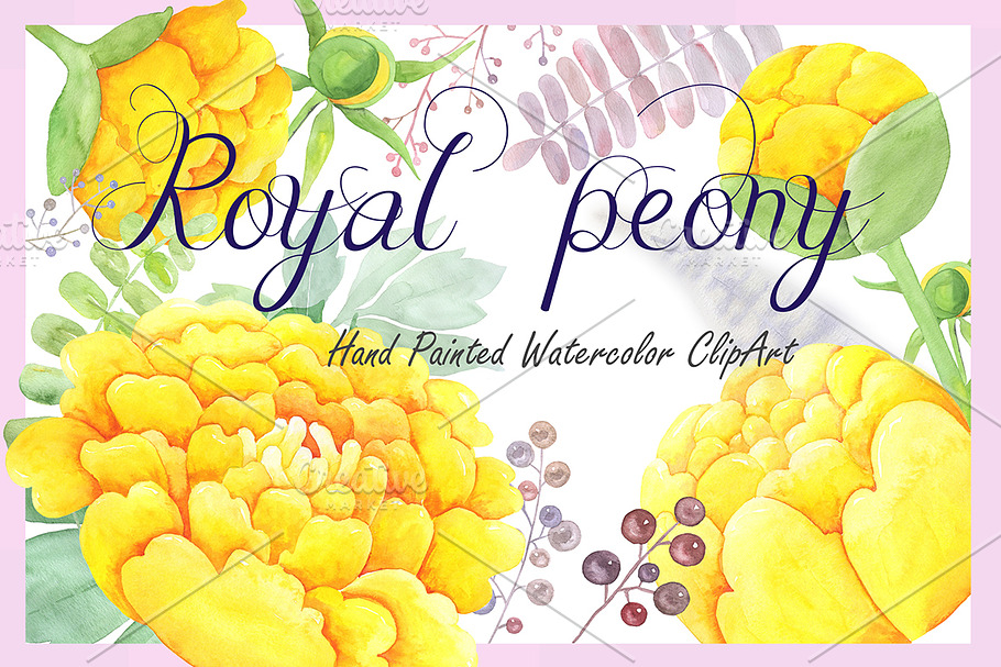 Watercolor Clipart - Royal Peony