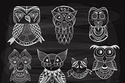 10 chalk drawn owls on blackboard