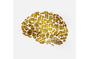 gold brain icon