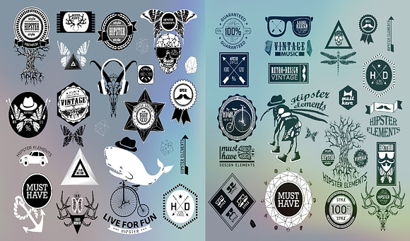 Hipster label, icon, elements set in Illustrations - product preview 2