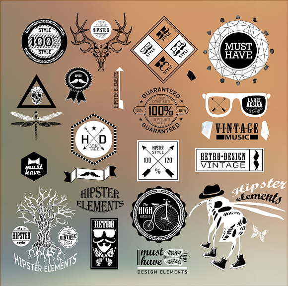 Hipster label, icon, elements set in Illustrations - product preview 8