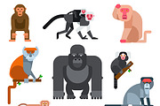 Monkey vector illustration