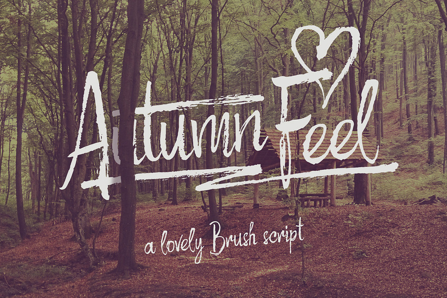 Autumn Feel font in Script Fonts - product preview 8