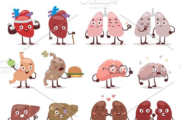 Human organs characters vector