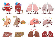 Human organs characters vector