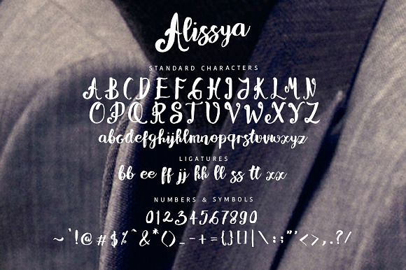 Alissya Script in Script Fonts - product preview 6