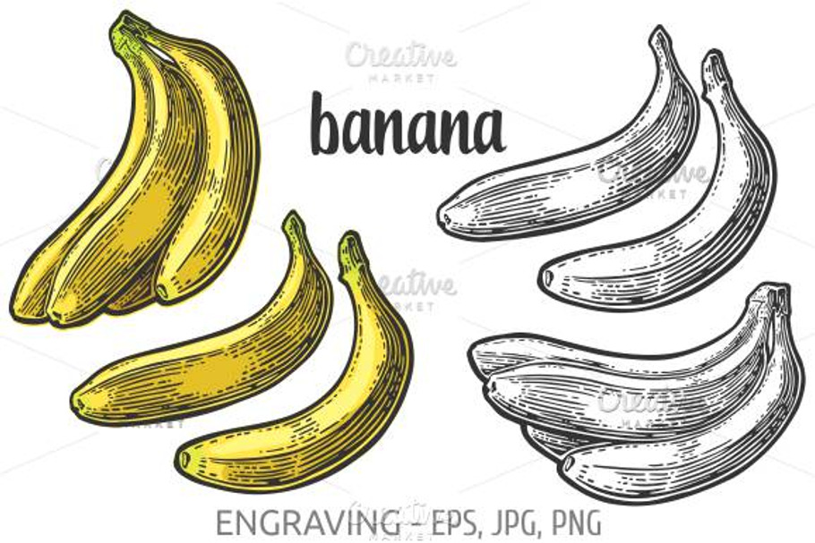 Two single and bunches banana in Illustrations - product preview 8
