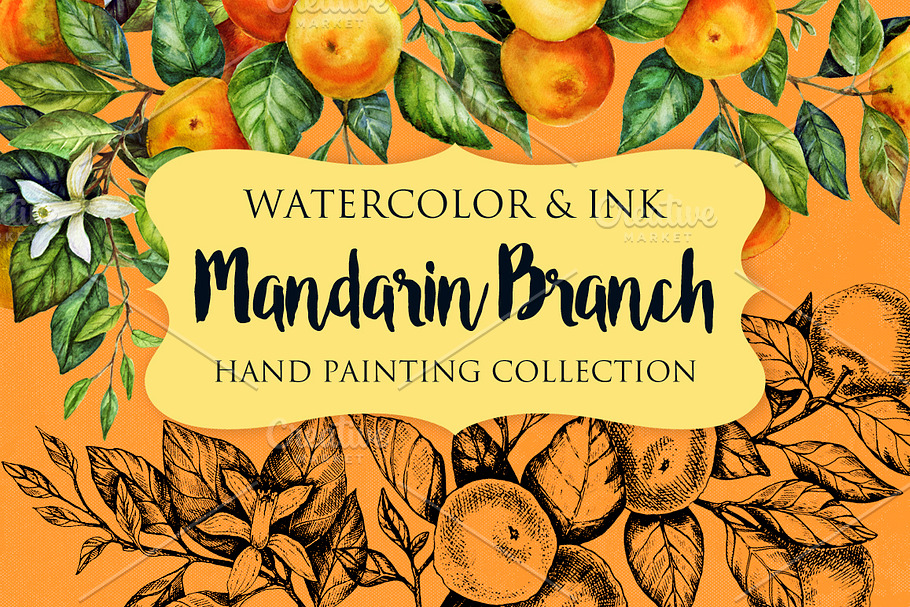 Mandarin Branch Watercolor&Ink