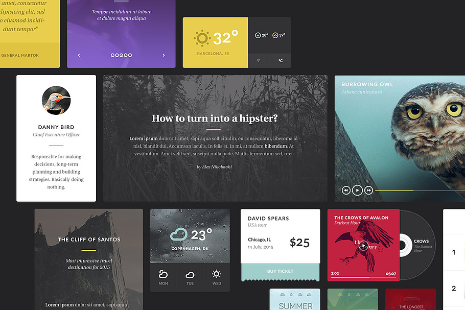 Aves UI Kit in UI Kits and Libraries - product preview 8