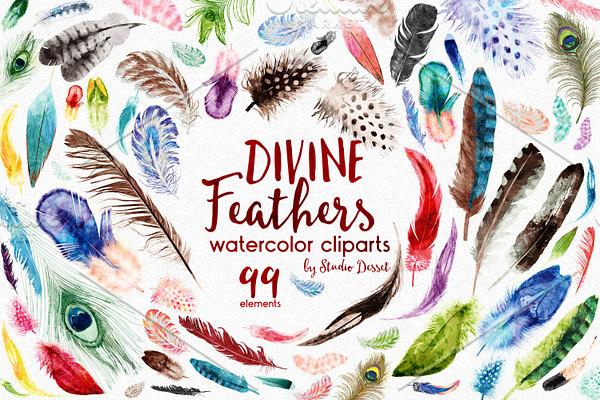 Divine Feathers - watercolor clipart