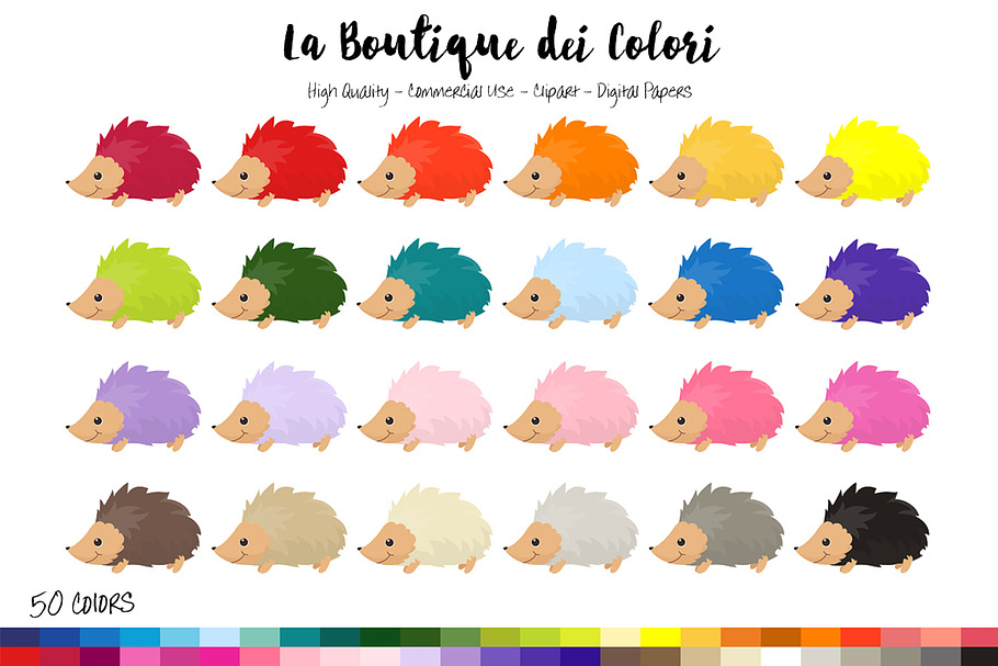50 Rainbow Hedgehog Clip Art
