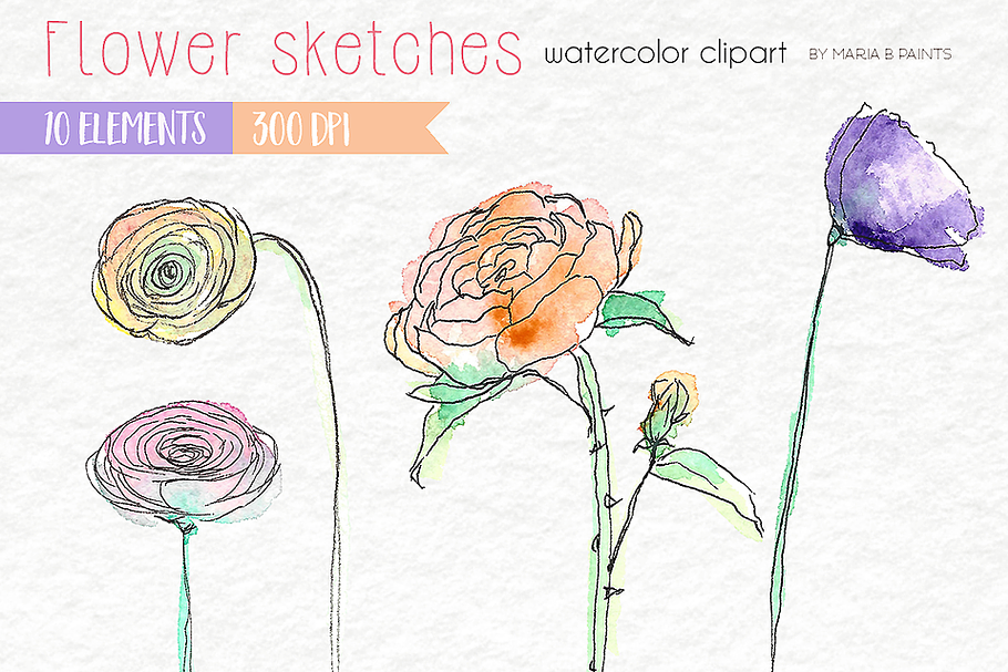 Watercolor Clip Art - Sketch Flowers in Illustrations - product preview 8