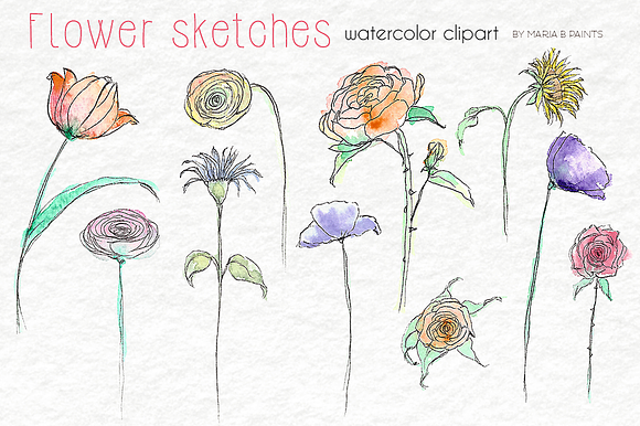 Watercolor Clip Art - Sketch Flowers in Illustrations - product preview 1