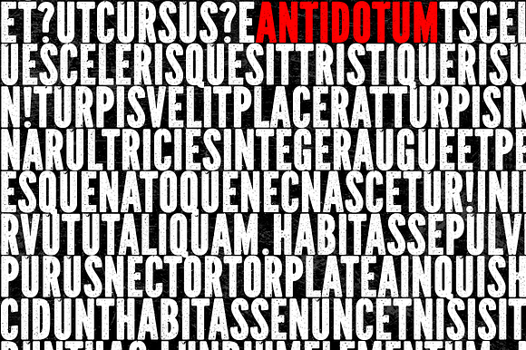 Antidotum in Display Fonts - product preview 1