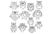 Sketches of cute owls