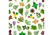 Spicy herbs and condiments pattern
