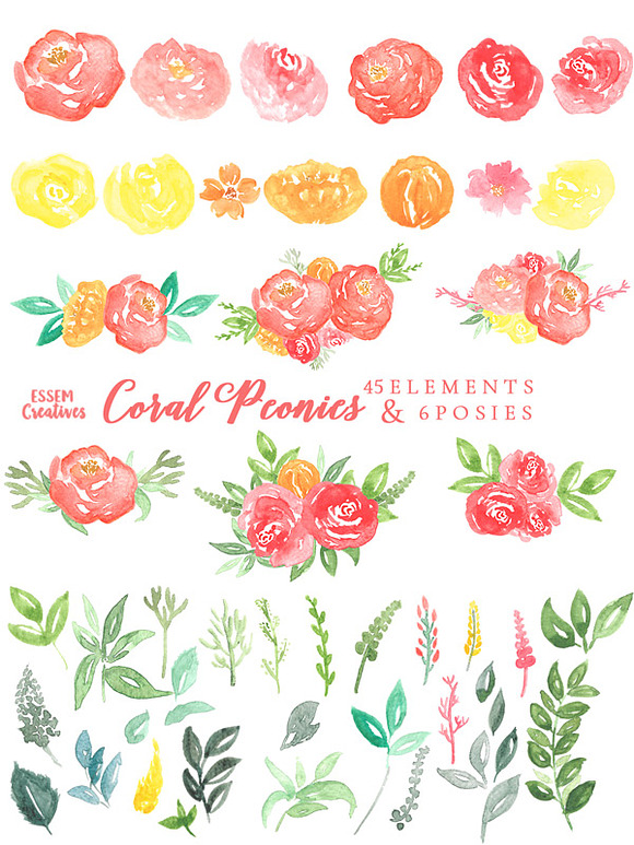 Coral Watercolor Peonies Clipart in Illustrations - product preview 1