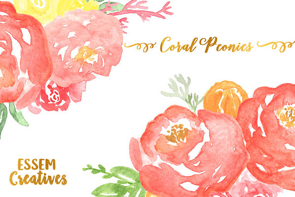 Coral Watercolor Peonies Clipart in Illustrations - product preview 2
