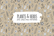 Plants & Herbs