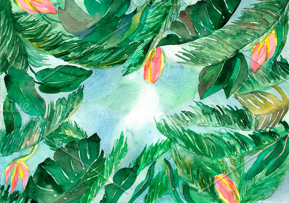 Watercolor tropical background in Textures - product preview 2