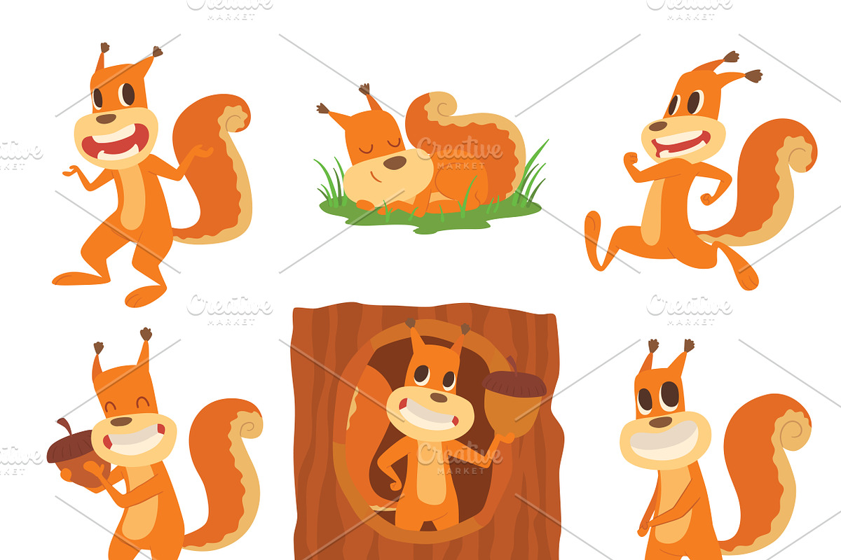 Squirrel vector set collection in Illustrations - product preview 8