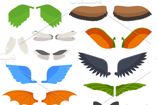 Wings isolated vector