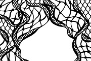 Lace ornamental backgrounds.