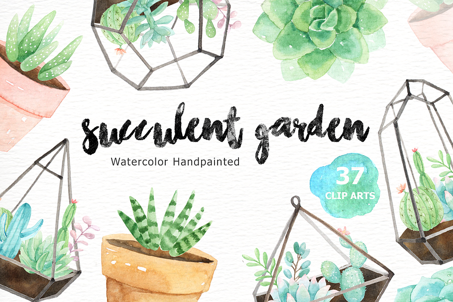 Succulent Garden Watercolor Cliparts