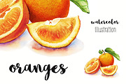 Oranges watercolor illustration