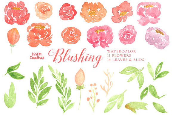 Pink Watercolor Peonies Clipart in Illustrations - product preview 1